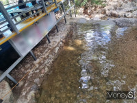 칠곡 금오동천 불법시설 묵인 수년째 논란에 군수 책임론 비등