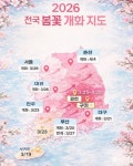 구미·김천 벚꽃 개화 작년보다 3~5일 빨라진다