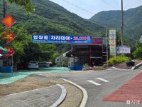 칠곡 금오동천 불법시설 억대 과태료 취소 논란
