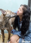 [스타캐스트] 강아지 탓이 아닙니다…혜정, 유기견의 천사