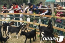 2012 청원생명축제, 다양한 체험