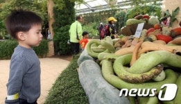 [화보] 나주 국제농업박람회, 이색 농산물 총집합!