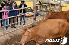 축사 둘러보는 안철수 후보