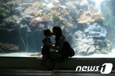 15일부터 수원시청서 G-mind 정신건강사진전 개최