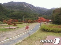 논산시, 대둔산 오토캠핑장 12월까지 무료 운영
