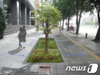 [국감브리핑] 서울시 레인가든 탓 가로수 고사 우려