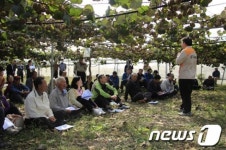 사천시, 참다래 인공수분 현장 평가회 개최