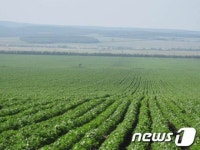 현대자원개발, IFC와 손잡고 우크라이나 등에 식량기지 건설 추진