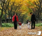 대전시, 가을에 걷기 좋은 길 4선 소개