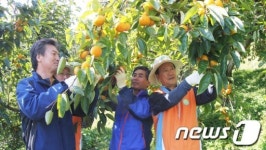 단감따는 김봉수 한국거래소 이사장