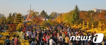 천만송이 국화로 만나는 천년고도 익산 이야기