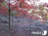 수원국유림관리소, 양평에 생태교육장 조성