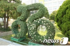 부산경륜공단 스포원, 1일부터 국화전시회