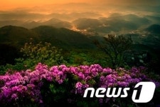 광주 화요사진회 50번째 정기회원전 8일 D갤러리서