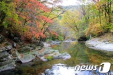 산림청, 가리왕산자연휴양림 11월 추천 휴양림으로 선정