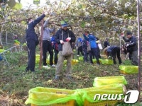 [사진]일손돕기 봉사도 나랏 일