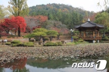 [사진]가을의 끝자락을 담은 보문정