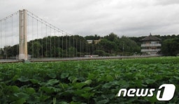 전주 덕진공원 일대 아시아 최대 전통공원 개발