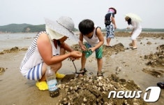 태안 병술만 어촌체험마을, 전국 전진대회서 최우수 상