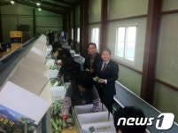 광양동부농협 송월경제사업소 | 전남농협 연합사업단, 광양애호박 출하 개시