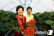 양주골딸기 해외시장 진출, 120박스 태국 수출