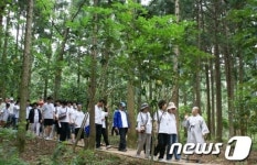 [사진] 전남 장흥 편백숲 우드랜드 힐링캠프 각광