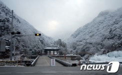 [사진] 순백의 청량산 입구