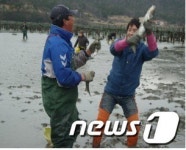 전남 장흥 수문마을 등 어촌체험 우수마을 선정