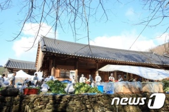 송광사 스님들 김장배추다듬기 울력