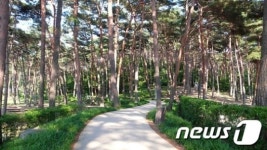 안면도 자연휴양림, 충남 공유 자연휴양림 고객만족도 최고