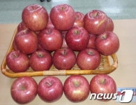 충주 김동휘씨 사과 탑프루트 품질평가회에서 대상