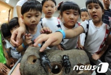 전남 녹색곤충주식회사 내년 출범