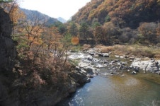 환경부, 양구 DMZ·곡성 습지 등 5곳 생태관광 지정제 시범사업으로 선정