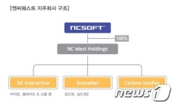 엔씨, 북미유럽 조직 지주회사 체제로 재편