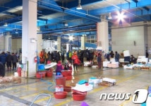 빈 상자 쌓여가는 포항 죽도어시장, 상인들 바다에도 불황