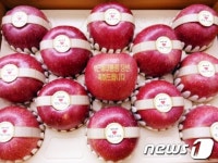 영주 40대 농업인, 대통령 당선 축하 문자 사과 전달