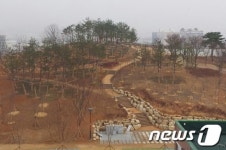 대구 동촌유원지 해맞이동산 옛숲 복원