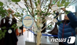 도민들의 염원이 달린 희망나무