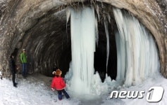 역고드름 신기하네