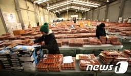 산청곶감 계사년 첫 경매시장 열려