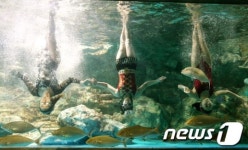 수중뮤지컬 인어공주 이야기 공연