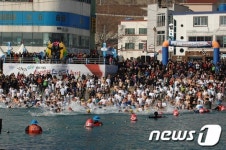 제9회 거제도국제펭귄수영축제