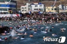 거제 국제펭귄수영축제 1300여명 참가 후끈