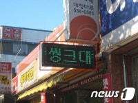 대전 서구 3월 31일까지 불법 옥외광고물 특별정비 실시
