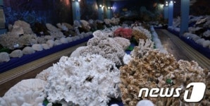 [르포]방대한 바다 콘텐츠의 산실, 울산해양박물관을 가다