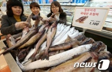 롯데마트 정부비축 동태가 한마리 1,100원