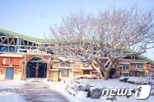 KT&G 상상마당 16~17일 주말 가족캠프 개최