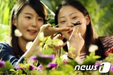 봄 나비 미리 만나보세요