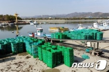 빈 박스만 남아있는 수산물위판장