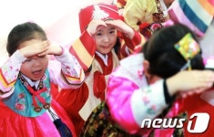 고사리들의 깜찍한 세배